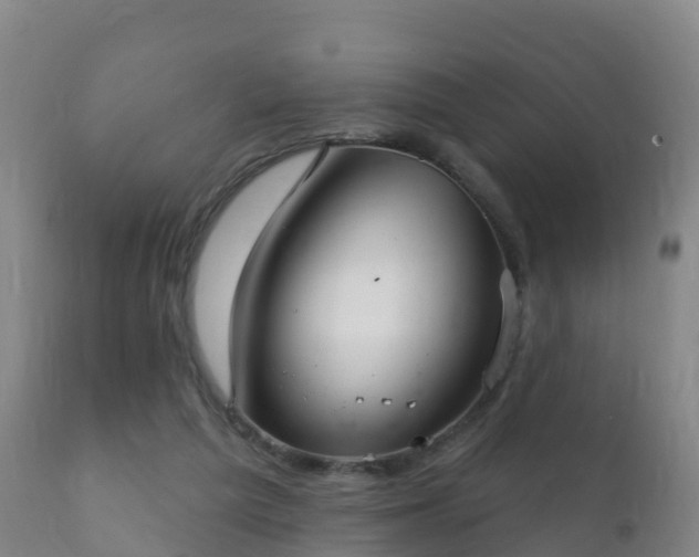 X0000112360209200908201510