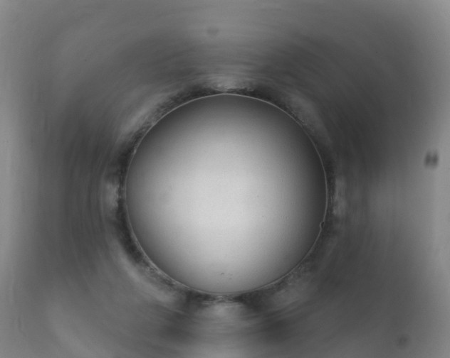 X0000112360210200908201510