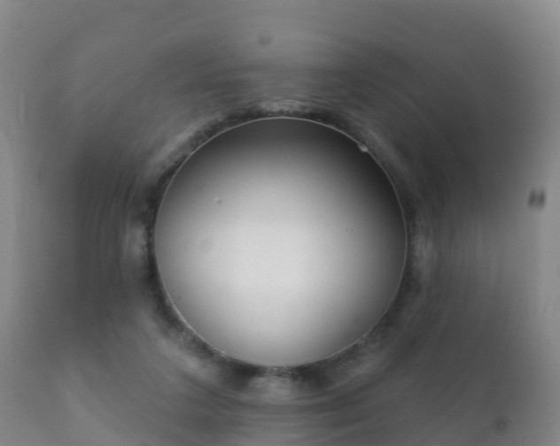 X0000112360211200908201510