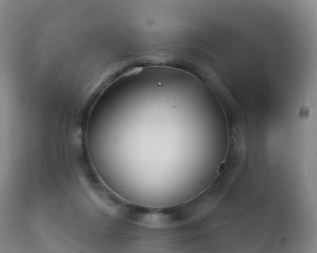 X0000112360212200908201510