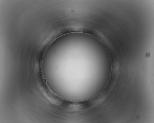 X0000112360213200908201510