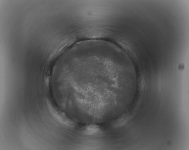 X0000112360214200908201510