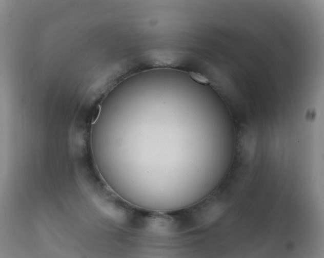 X0000112360215200908201510