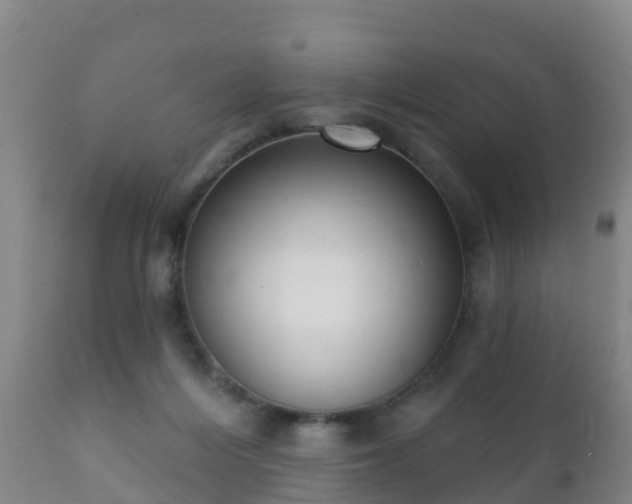 X0000112360216200908201510