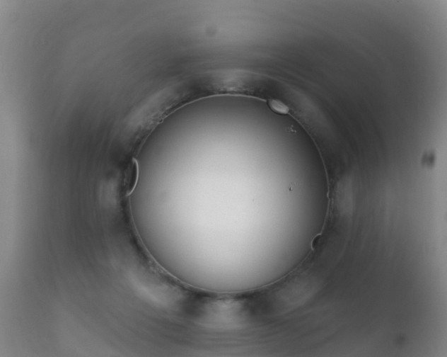 X0000112360217200908201510