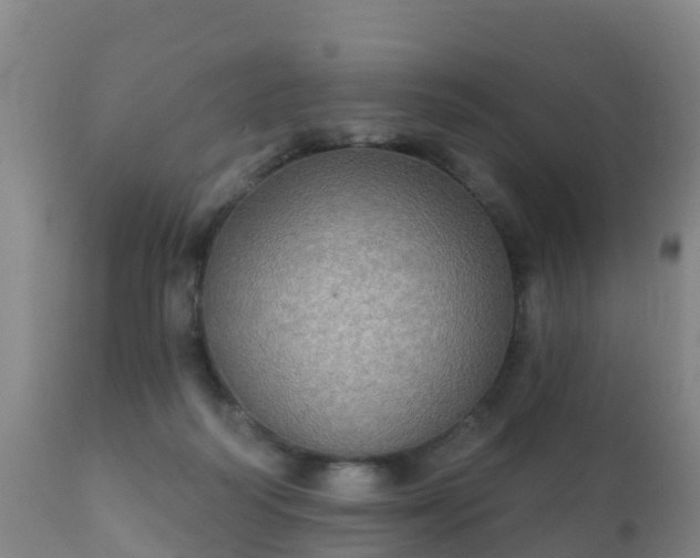 X0000112360218200908201510