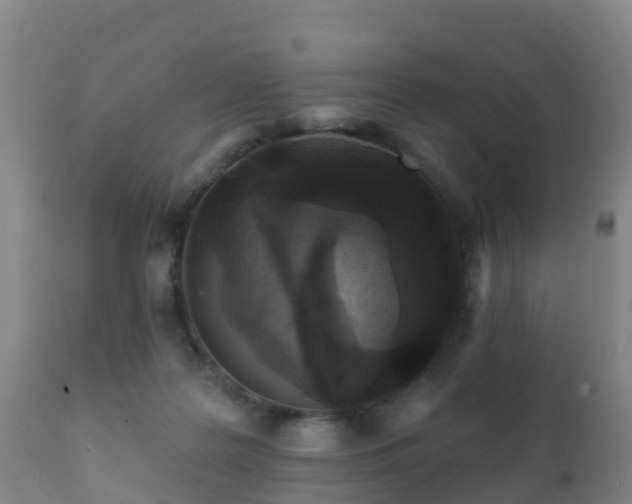 X0000112360219200908201510