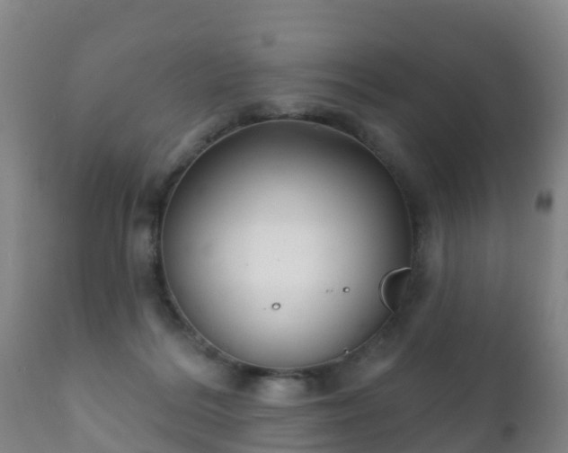 X0000112360220200908201510