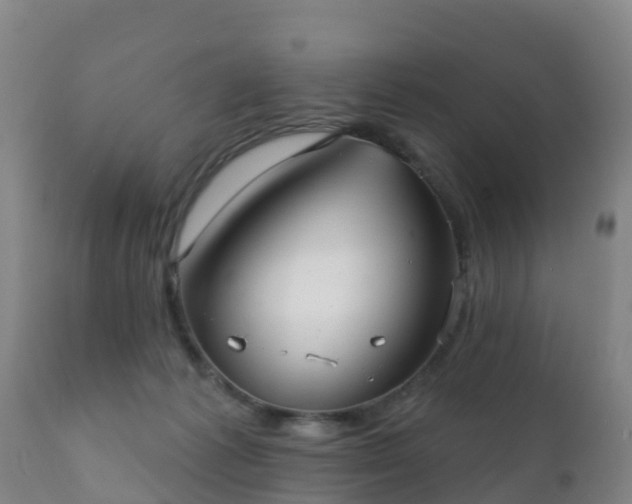 X0000112360221200908201510