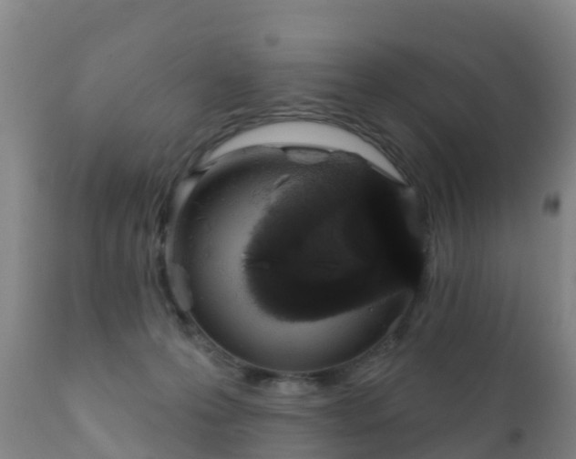 X0000112360223200908201510