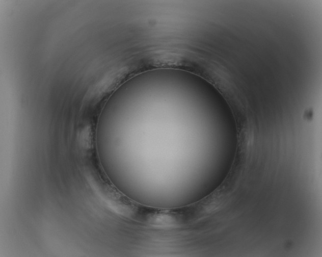 X0000112360224200908201510