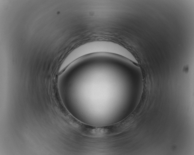 X0000112360225200908201510