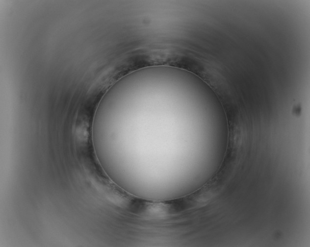 X0000112360226200908201510