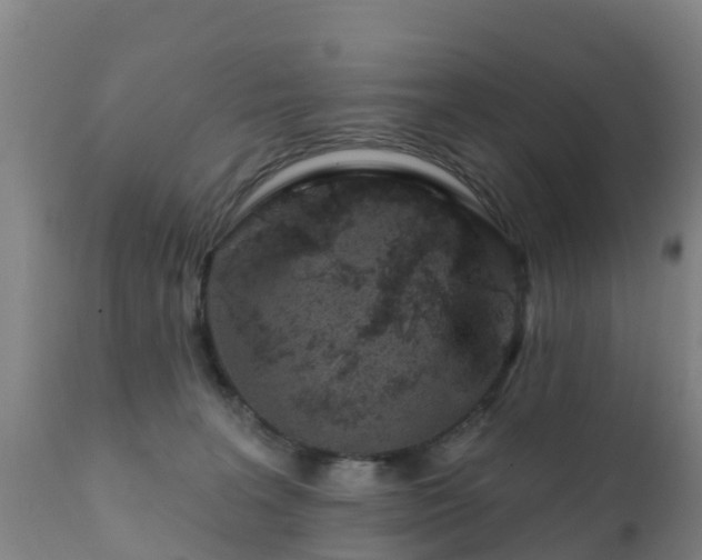 X0000112360227200908201510