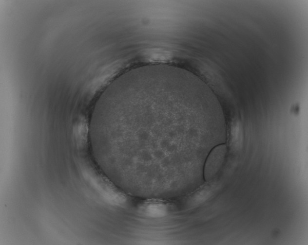 X0000112360228200908201510