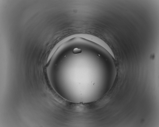 X0000112360229200908201510