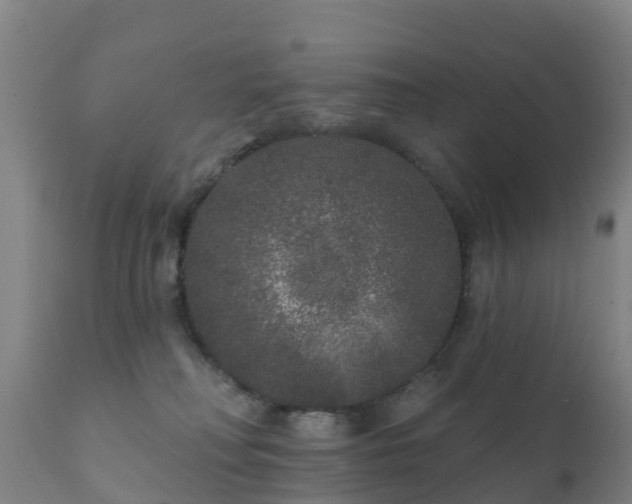 X0000112360230200908201510