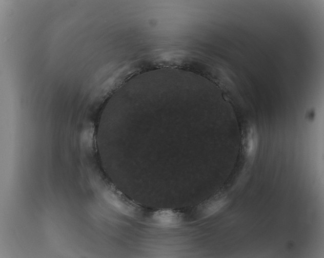 X0000112360231200908201510