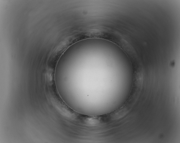 X0000112360232200908201510