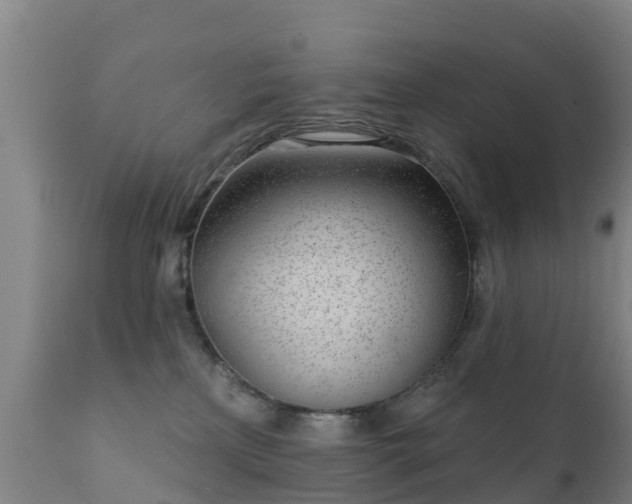 X0000112360233200908201510