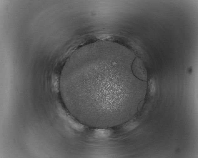 X0000112360234200908201510