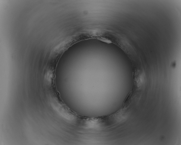 X0000112360235200908201510