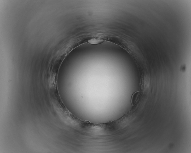 X0000112360236200908201510