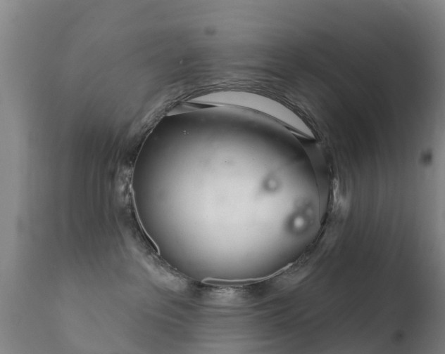 X0000112360237200908201510