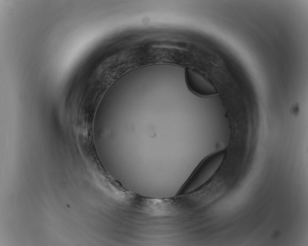 X0000112360239200908201510