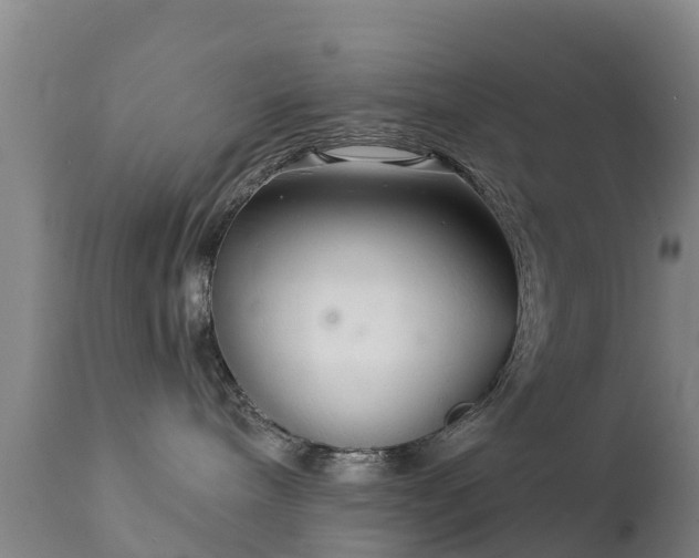 X0000112360240200908201510