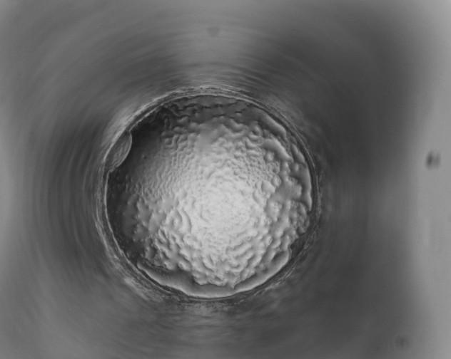 X0000112360241200908201509