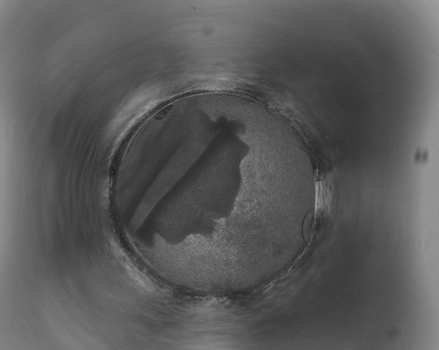 X0000112360243200908201509