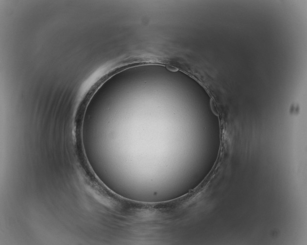 X0000112360246200908201509