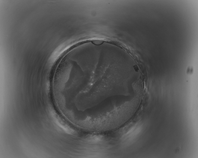 X0000112360247200908201509