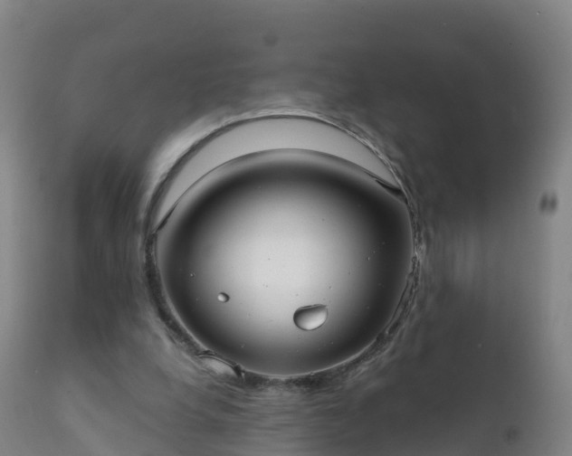 X0000112360248200908201509