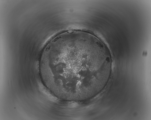 X0000112360249200908201509