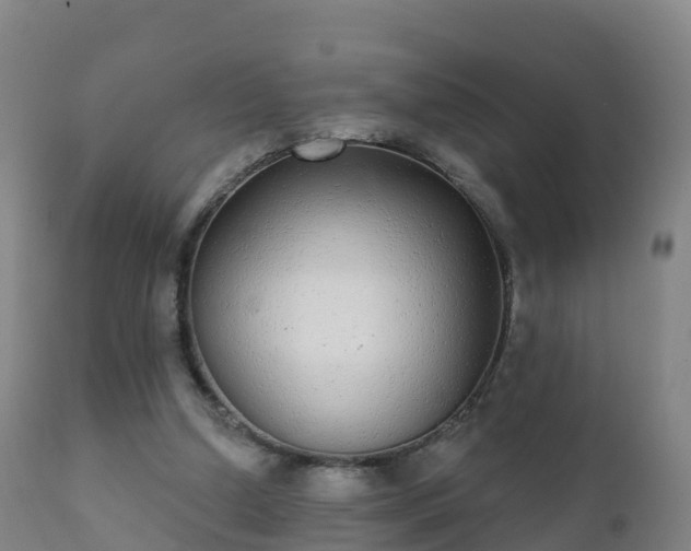 X0000112360250200908201509