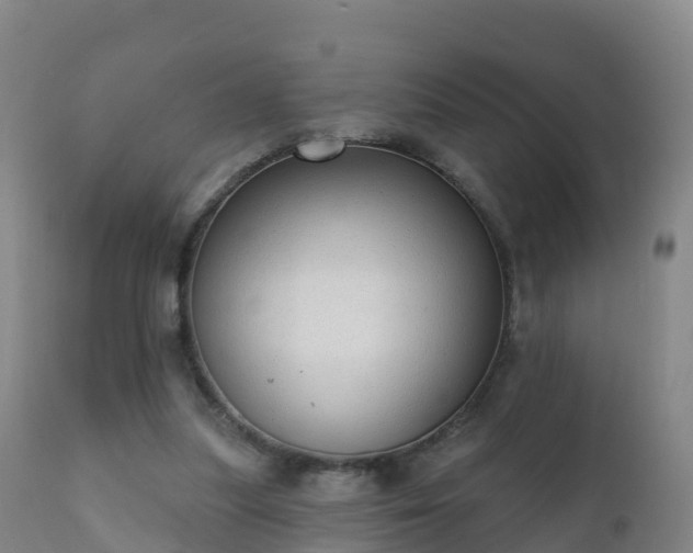 X0000112360251200908201509