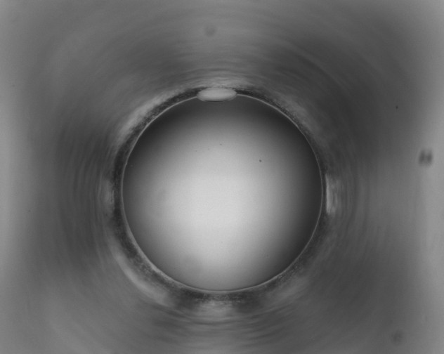 X0000112360252200908201509