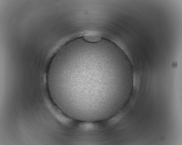 X0000112360253200908201509