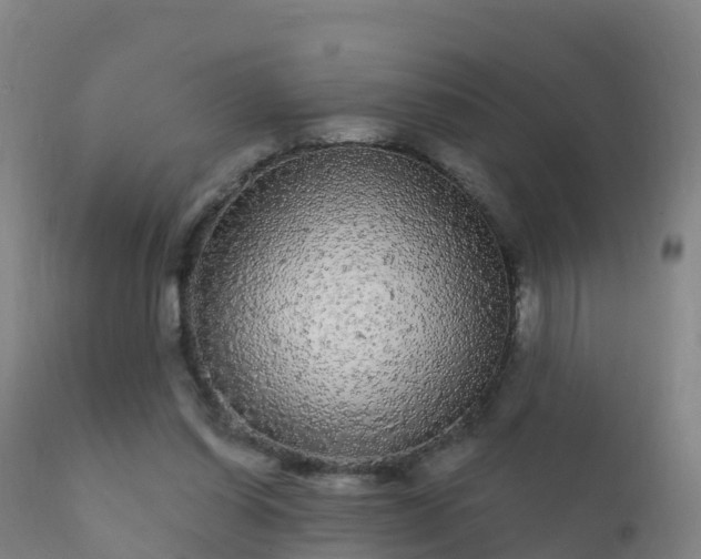 X0000112360254200908201509