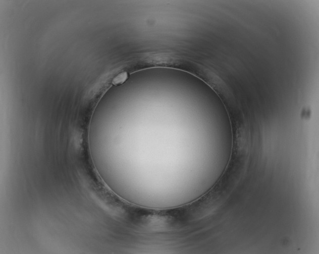 X0000112360255200908201509