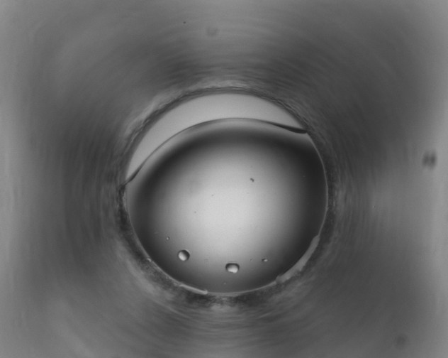 X0000112360256200908201509