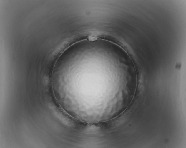 X0000112360257200908201509