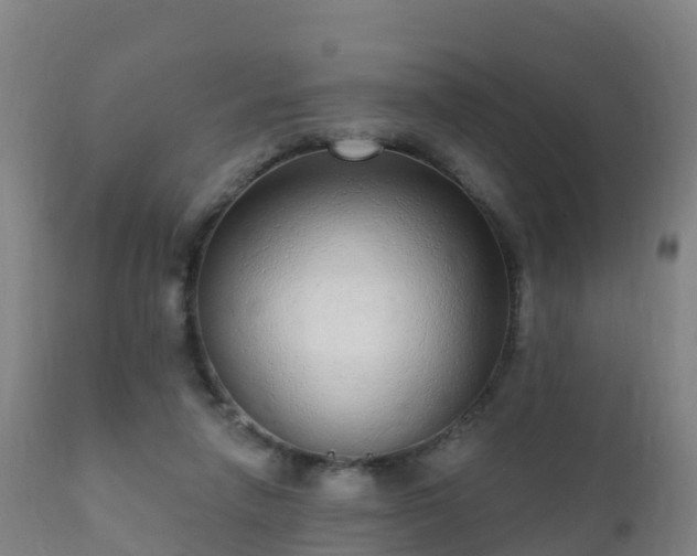 X0000112360258200908201509