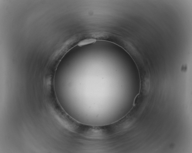 X0000112360260200908201509