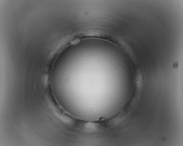 X0000112360261200908201509