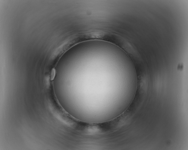 X0000112360262200908201509