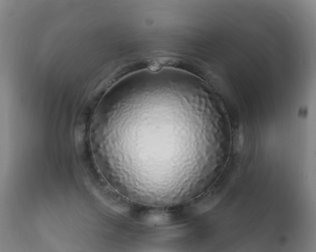 X0000112360263200908201509