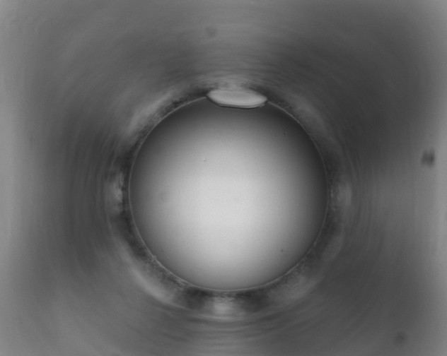 X0000112360264200908201509